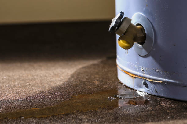Best Basement water damage restoration  in Minor, AL