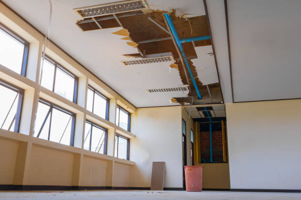 Best Flood restoration services  in Minor, AL