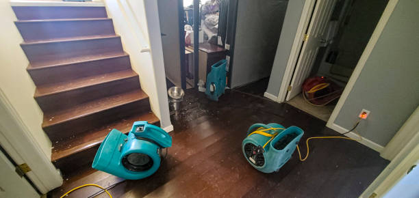 Best Sewage cleanup and water damage restoration  in Minor, AL