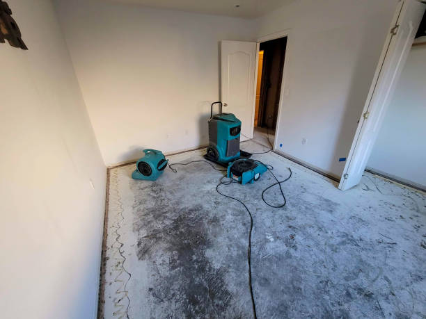Best Flood damage cleanup  in Minor, AL