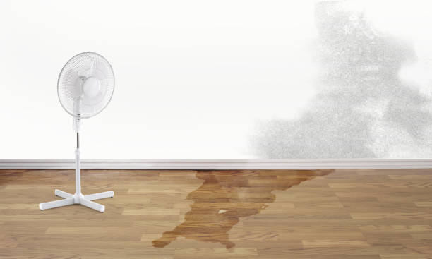  Minor, AL Water damage restoration Pros