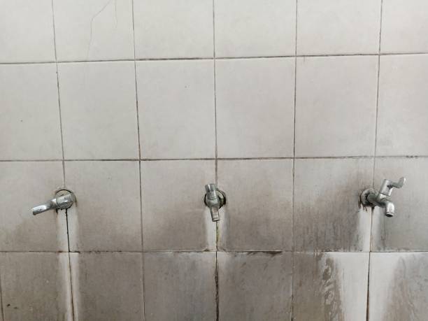 Best 24-hour water damage restoration  in Minor, AL