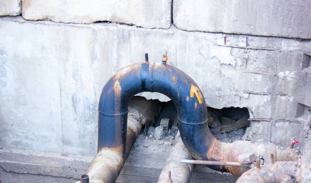 Best Mold removal after water damage  in Minor, AL