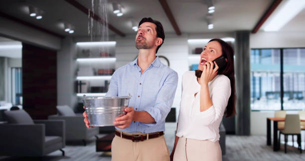 Best 24/7 water damage repair  in Minor, AL