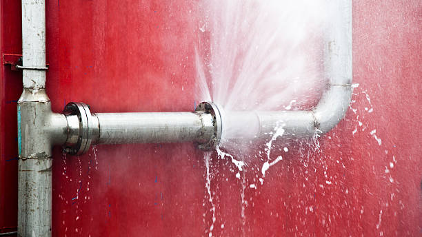Best Flooded house restoration  in Minor, AL