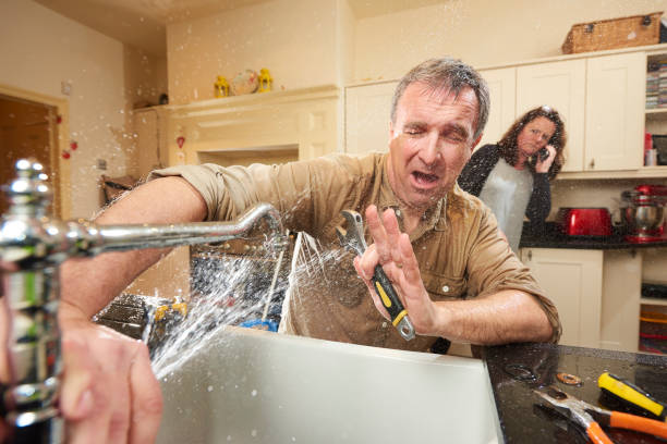 Best Water damage contractors near me  in Minor, AL